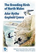 Breeding Birds of North Wales