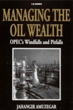 Managing the Oil Wealth