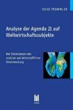 Analyse der Agenda 21 auf Weltwirtschaftssubjekte