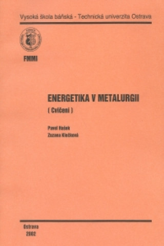 Energetika v metalurgii