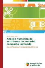 Analise numerica de estruturas de material composto laminado