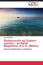 Restauracion de Zostera marina L. en Bahia Magdalena, B.C.S., Mexico