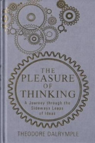 Pleasure of Thinking