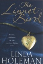 Linnet Bird
