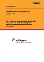 Einfluss der amerikanischen kulturellen Ideologien auf die Entwicklung des amerikanischen Gesundheitssystems