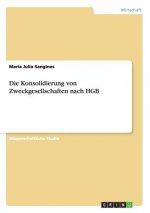 Konsolidierung von Zweckgesellschaften nach HGB