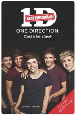 One Direction Cesta ke slávě