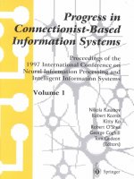 Progress in Connectionist-Based Information Systems