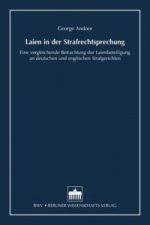 Laien in der Strafrechtsprechung
