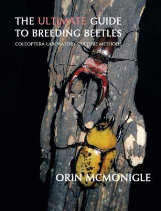 Ultimate Guide to Breeding Beetles