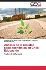 Analisis de la realidad socioeconomica en Chile