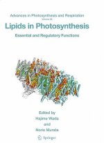 Lipids in Photosynthesis
