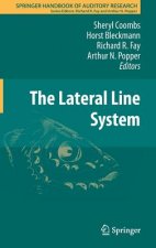 Lateral Line System