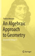 Algebraic Approach to Geometry