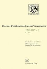Michelangelo Und Das Problem Der Sakularisation