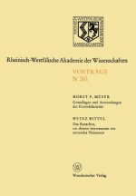 Grundlagen Und Anwendungen Der Ferroelektrizit t. Das Rauschen, Ein Ebenso Interessantes Wie St rendes Ph nomen