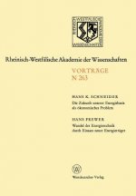 Die Zukunft Unserer Energiebasis ALS  konomisches Problem. Wandel Der Energietechnik Durch Einsatz Neuer Energietr ger