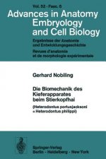 Die Biomechanik Des Kieferapparates Beim Stierkopfhai