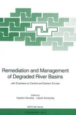 Remediation and Management of Degraded River Basins