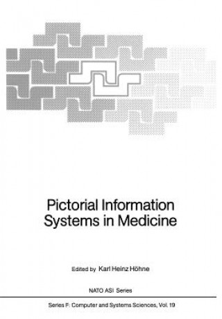 Pictorial Information Systems in Medicine, 1