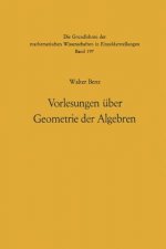 Vorlesungen über Geometrie der Algebren, 1