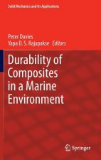 Durability of Composites in a Marine Environment