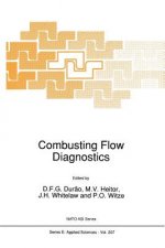 Combustings Flow Diagnostics