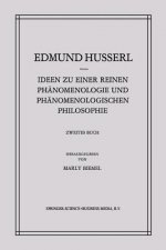 Ideen Zu Einer Reinen Phanomenologie Und Phanomenologischen Philosophie