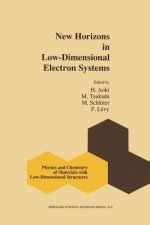 New Horizons in Low-Dimensional Electron Systems, 1