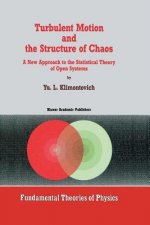 Turbulent Motion and the Structure of Chaos, 1