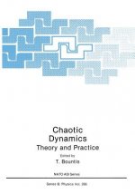Chaotic Dynamics