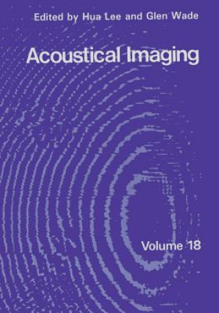 Acoustical Imaging