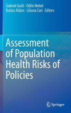 Assessment of Population Health Risks of Policies