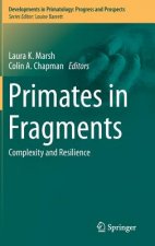 Primates in Fragments
