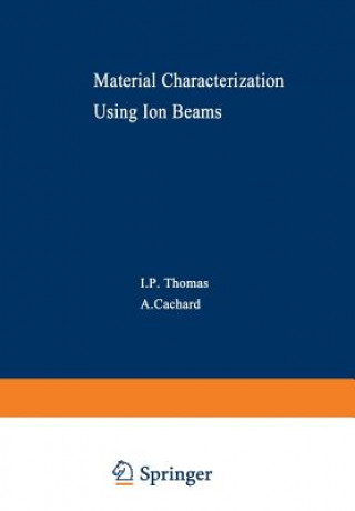 Material Characterization Using Ion Beams