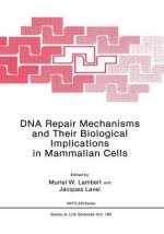 DNA Repair Mechanisms and Their Biological Implications in Mammalian Cells