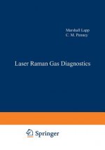 Laser Raman Gas Diagnostics
