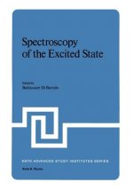 Spectroscopy of the Excited State