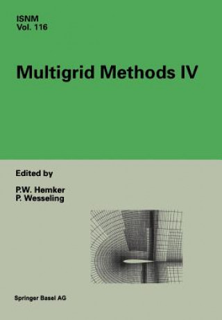 Multigrid Methods IV