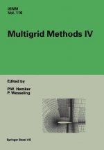Multigrid Methods IV
