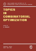 Topics in Combinatorial Optimization