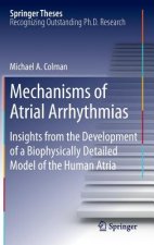 Mechanisms of Atrial Arrhythmias