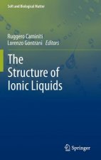 The Structure of Ionic Liquids