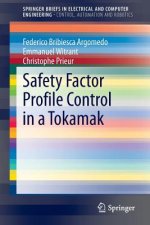 Safety Factor Profile Control in a Tokamak