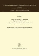 Windlasten an Hyperbolischen K hlturmschalen