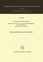 Unterwasserstr mung Um Kreiszylinder