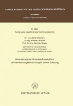 Minimierung Der Schadstoffproduktion Bei Verbrennungseinrichtungen Kleiner Leistung
