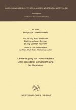 Laermerzeugung Von Habschraubern Unter Besonderer Berucksichtigung Des Heckrotors