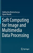 Soft Computing for Image and Multimedia Data Processing