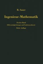 Ingenieur-Mathematik